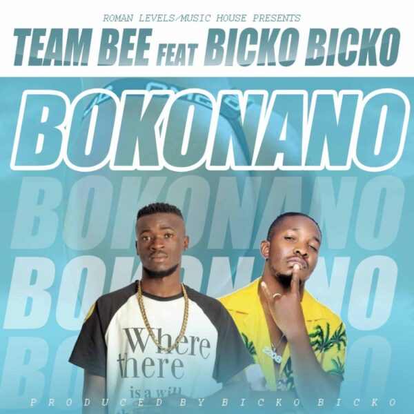 Team Bee ft. Bicko Bicko - Bokonano