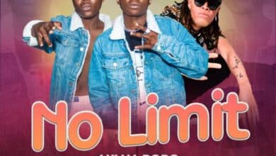 Aki Na Popo Ft. Yellowman - No Limit Mp3 Download