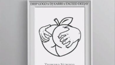 Drip Gogo X DJ Karri X Exceed Deejay Ft. HarrisDontcare & FME Djs - Tshwara Ngwana Mp3 Download